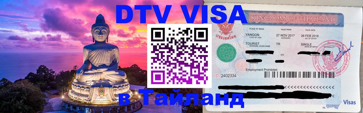 Оформление DTV визы под ключ: стоимость и тарифы, только загранпаспорт - Волгоград  07.01.2026 